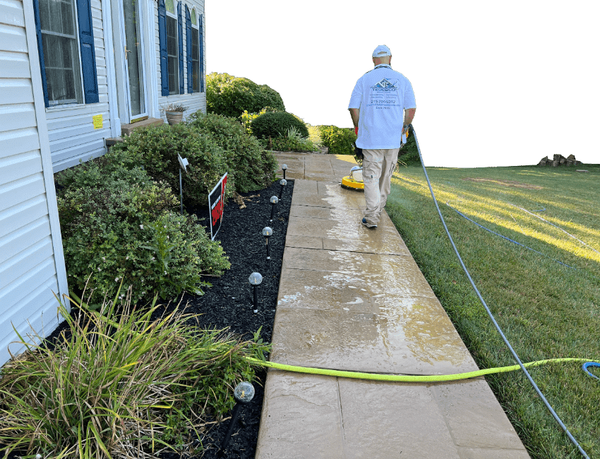 Person in cap using a surface cleaner to pressure-wash a wet concrete walkway beside a house, hoses crossing the lawn.