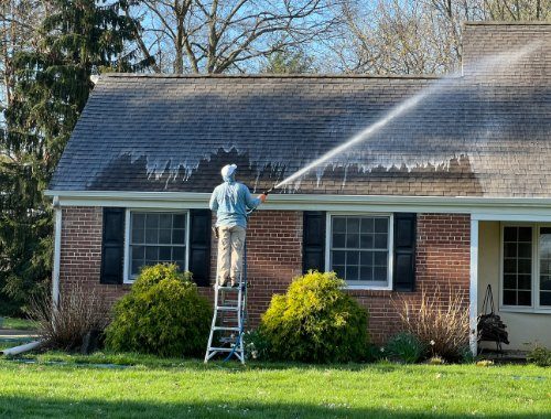Roof Cleaning Near Me in Montgomery County PA 1