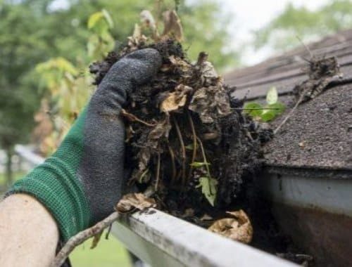 dry debris removal gutter cleaning services near me