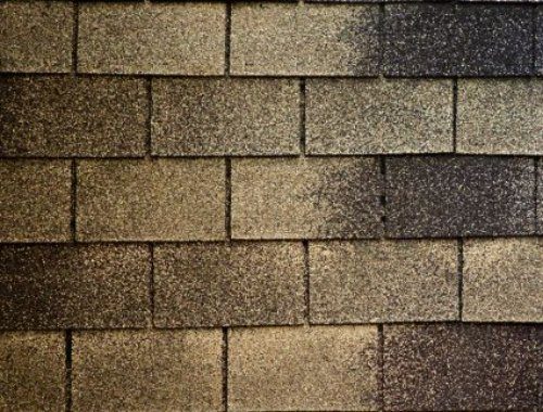 shingle roof cleaning service near me