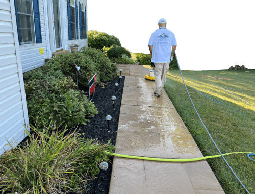 Person in cap using a surface cleaner to pressure-wash a wet concrete walkway beside a house, hoses crossing the lawn.